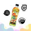 Spritzer Tinge Flavoured Drink Mango Apple 24s x 450ml